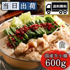 []yoוցẑ@ʃZbg4`6lO