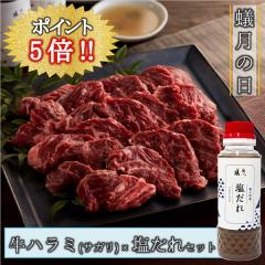 �a�� ���Ă� ���n���~(�T�K��)�~�����ꁃ2�`3�l�O��