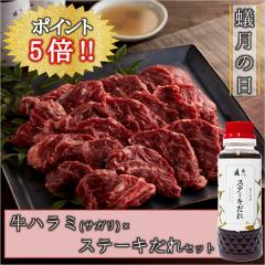 �a�� ���Ă� ���n���~(�T�K��)�~�X�e�[�L���ꁃ2�`3�l�O��