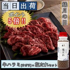 �y�����o�וցz�a�� ���Ă� ���n���~(�T�K��)�~�����ꁃ2�`3�l�O��